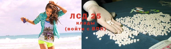 ПСИЛОЦИБИНОВЫЕ ГРИБЫ Алексеевка