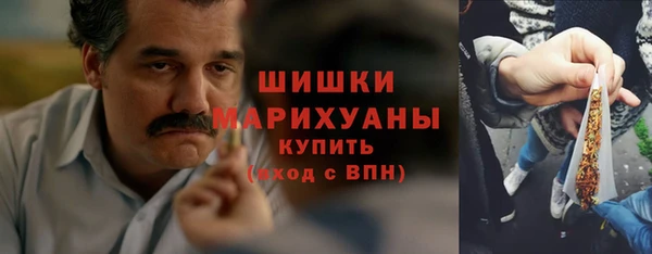 ПСИЛОЦИБИНОВЫЕ ГРИБЫ Алексеевка
