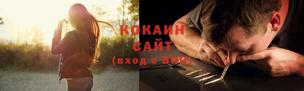 ПСИЛОЦИБИНОВЫЕ ГРИБЫ Алексеевка