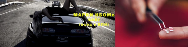 стафф Алзамай